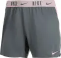 Шорти підліткові Nike DRI-FIT TROPHY 15CM сіро-світло-рожеві DA1099-086