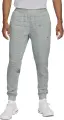 Спортивні штани Nike SPORTSWEAR THERMA-FIT ADV TECH PACK ENGINEERED FLEECE сірі DM5550-034