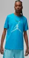 Футболка Nike JORDAN ESSENTIALS голубая DX9581-483