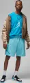 Футболка Nike JORDAN ESSENTIALS голубая DX9581-483