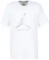 Футболка Nike JORDAN SPORT DRI-FIT белая HQ7984-100