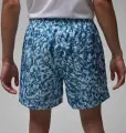 Шорти Nike JORDAN ESSENTIALS POOLSIDE блакитно-сині FN4635-423