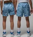 Шорти Nike JORDAN ESSENTIALS POOLSIDE блакитно-сині FN4635-423