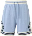 Шорти баскетбольні Nike JORDAN DRI-FIT SPORT DIAMOND SHORTS димчасто-блакитні DX1487-436