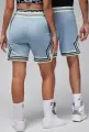 Шорты баскетбольные Nike JORDAN DRI-FIT SPORT DIAMOND SHORTS дымчато-голубые DX1487-436