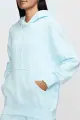 Худи женское Nike SPORTSWEAR PHOENIX FLEECE OVERSIZED светло-голубое DQ5860-474