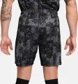 Шорты Nike ACADEMY PRO DRI-FIT GRAPHIC черно-серо-розовые FN2413-069