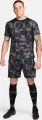 Шорты Nike ACADEMY PRO DRI-FIT GRAPHIC черно-серо-розовые FN2413-069