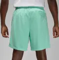 Шорти Nike JORDAN ESSENTIALS бірюзові FN4647-349