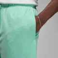 Шорти Nike JORDAN ESSENTIALS бірюзові FN4647-349