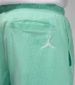 Шорти Nike JORDAN ESSENTIALS бірюзові FN4647-349