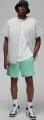 Шорти Nike JORDAN ESSENTIALS бірюзові FN4647-349