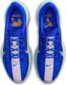 Кросівки бігові Nike PEGASUS PLUS синьо-світло-сірі HQ1719-400