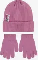 Зимовий набір аксесуарів дитячий Nike PATCH рожевий 8A3135-ACG