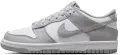 Кроссовки подростковые Nike DUNK LOW (GS) серо-белые FB9109-123