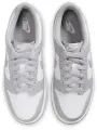 Кросівки підліткові Nike DUNK LOW (GS) сіро-білі FB9109-123