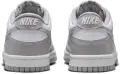 Кросівки підліткові Nike DUNK LOW (GS) сіро-білі FB9109-123
