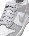 Кросівки підліткові Nike DUNK LOW (GS) сіро-білі FB9109-123