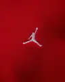 Толстовка Nike JORDAN BROOKLYN FLEECE FULL-ZIP HOODIE червона FV7289-687