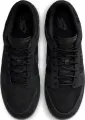 Кроссовки Nike DUNK LOW RETRO SE черные IB6651-001