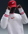 Спортивный костюм женский Nike SPORTSWEAR PHOENIX FLEECE светло-серо-красный HJ0949-051__HJ0909-051