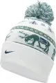 Шапка підліткова Nike PEAK STANDARD CUFF BEANIE молочно-зелено-синя HV7025-133
