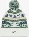 Шапка підліткова Nike PEAK STANDARD CUFF BEANIE молочно-зелено-синя HV7025-133