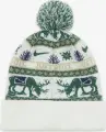 Шапка підліткова Nike PEAK STANDARD CUFF BEANIE молочно-зелено-синя HV7025-133