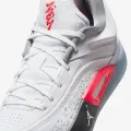 Кроссовки баскетбольные Nike ZION 4 бело-кораллово-серые FB1802-103