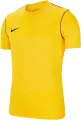 Футболка підліткова Nike DRY PARK20 SS TOP жовта BV6905-719