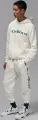 Спортивні штани Nike JORDAN ESSENTIALS FLEECE JOGGERS кремові HQ4645-133
