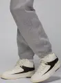 Спортивный костюм женский Nike JORDAN BROOKLYN FLEECE серый FV7074-063&FV7077-063