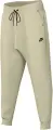 Спортивні штани підліткові Nike SPORTSWEAR TECH FLEECE бежеві HV5869-235
