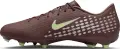 Бутси Nike MERCURIAL ZOOM VAPOR 16 ACADEMY "KYLIAN MBAPPE" FG/MG коричнево-сріблясто-салатові FQ8377-200
