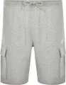 Шорти Nike CLUB FLEECE CARGO сірі FN3525-063