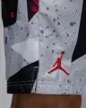 Шорты Nike JORDAN ESSENTIALS 5" POOLSIDE серо-черно-красно-желтые IB8818-011
