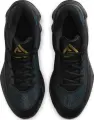 Кроссовки баскетбольные Nike GIANNIS IMMORTALITY 4 черно-золотые FQ3680-010