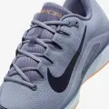 Кросівки тенісні Nike ZOOM VAPOR 12 CLAY сірі HQ6026-400
