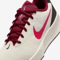 Кросівки тенісні жіночі Nike VAPOR LITE 3 HARD бежево-рожево-бордові FZ2156-104