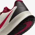 Кросівки тенісні жіночі Nike VAPOR LITE 3 HARD бежево-рожево-бордові FZ2156-104
