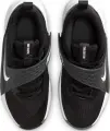 Кросівки дитячі Nike TEAM HUSTLE D 12 (PS) чорно-білі HF6280-002