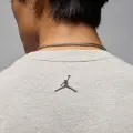Футболка Nike JORDAN COMIC серая IF0784-050