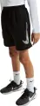 Шорты подростковые Nike MULTI DRI-FIT черные IF2431-010