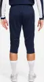 Бриджи Nike DRI-FIT ACADEMY 3/4 темно-синие DR1365-451