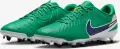 Бутси Nike TIEMPO LEGEND 10 ACADEMY FG LV8 зелено-білі HJ7268-300