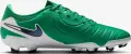 Бутси Nike TIEMPO LEGEND 10 ACADEMY FG LV8 зелено-білі HJ7268-300