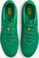 Бутси Nike TIEMPO LEGEND 10 ACADEMY FG LV8 зелено-білі HJ7268-300