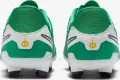 Бутси Nike TIEMPO LEGEND 10 ACADEMY FG LV8 зелено-білі HJ7268-300