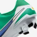 Бутси Nike TIEMPO LEGEND 10 ACADEMY FG LV8 зелено-білі HJ7268-300