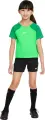 Комплект футбольной формы детский Nike DRI-FIT ACADEMY PRO зелено-черный DH9484-329